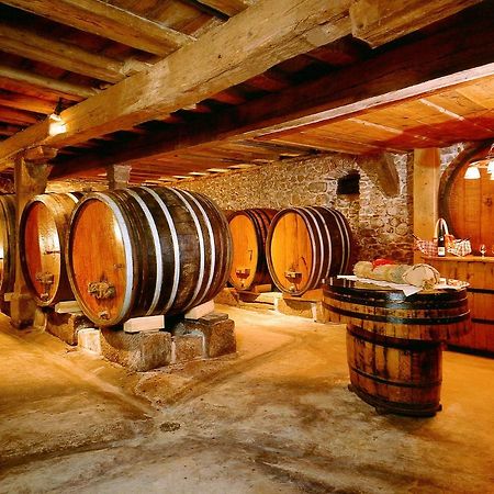 Chambres D'Hotes Francois Bleger Saint-Hippolyte  Esterno foto