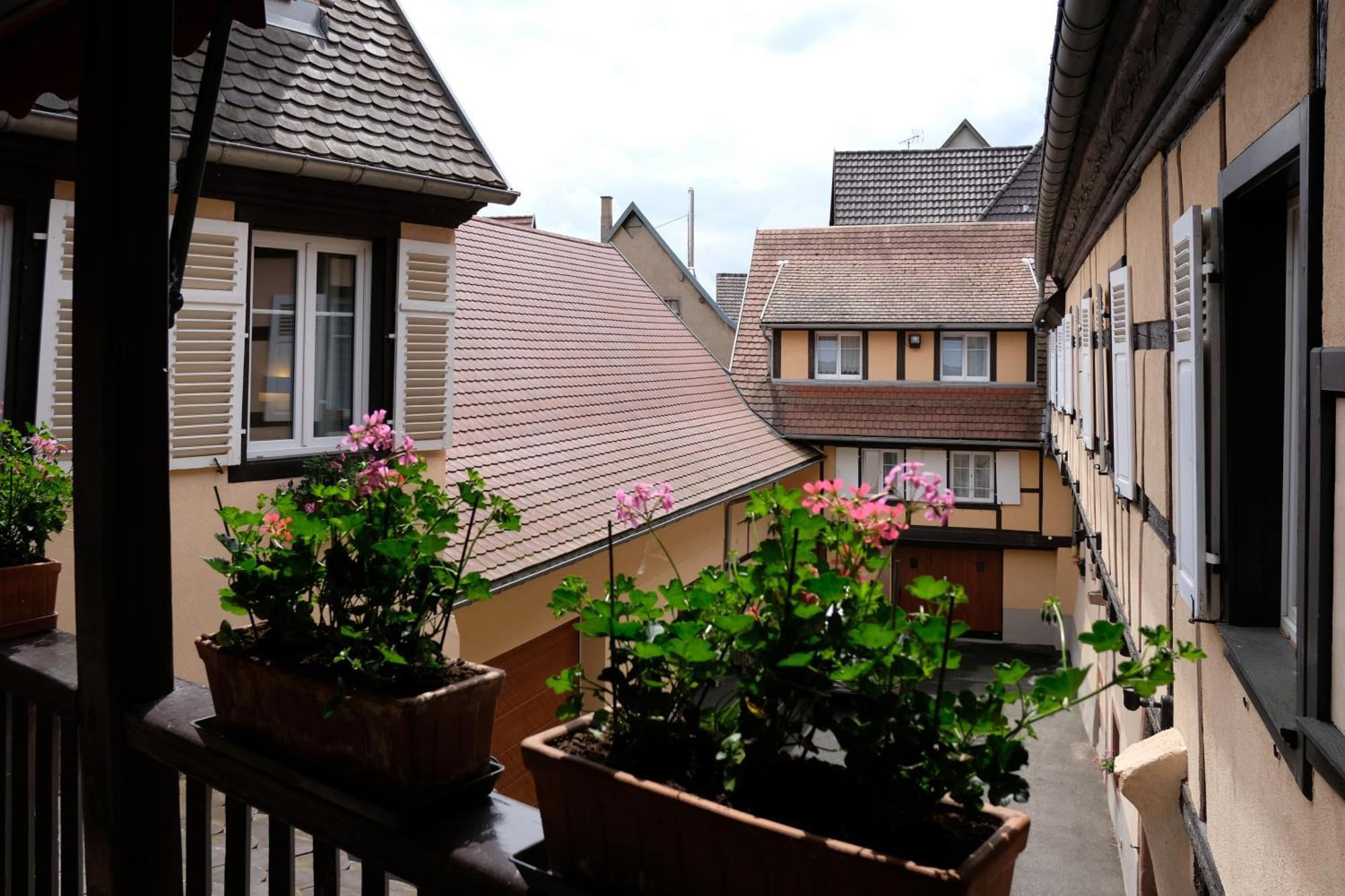 Chambres D'Hotes Francois Bleger Saint-Hippolyte  Esterno foto